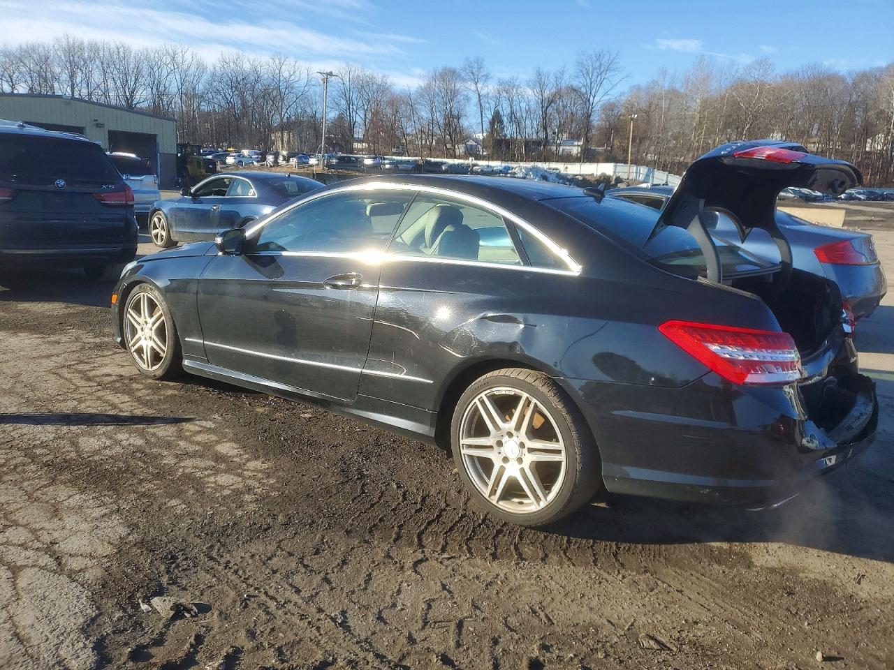 2010 MERCEDES-BENZ E 550 photo 2