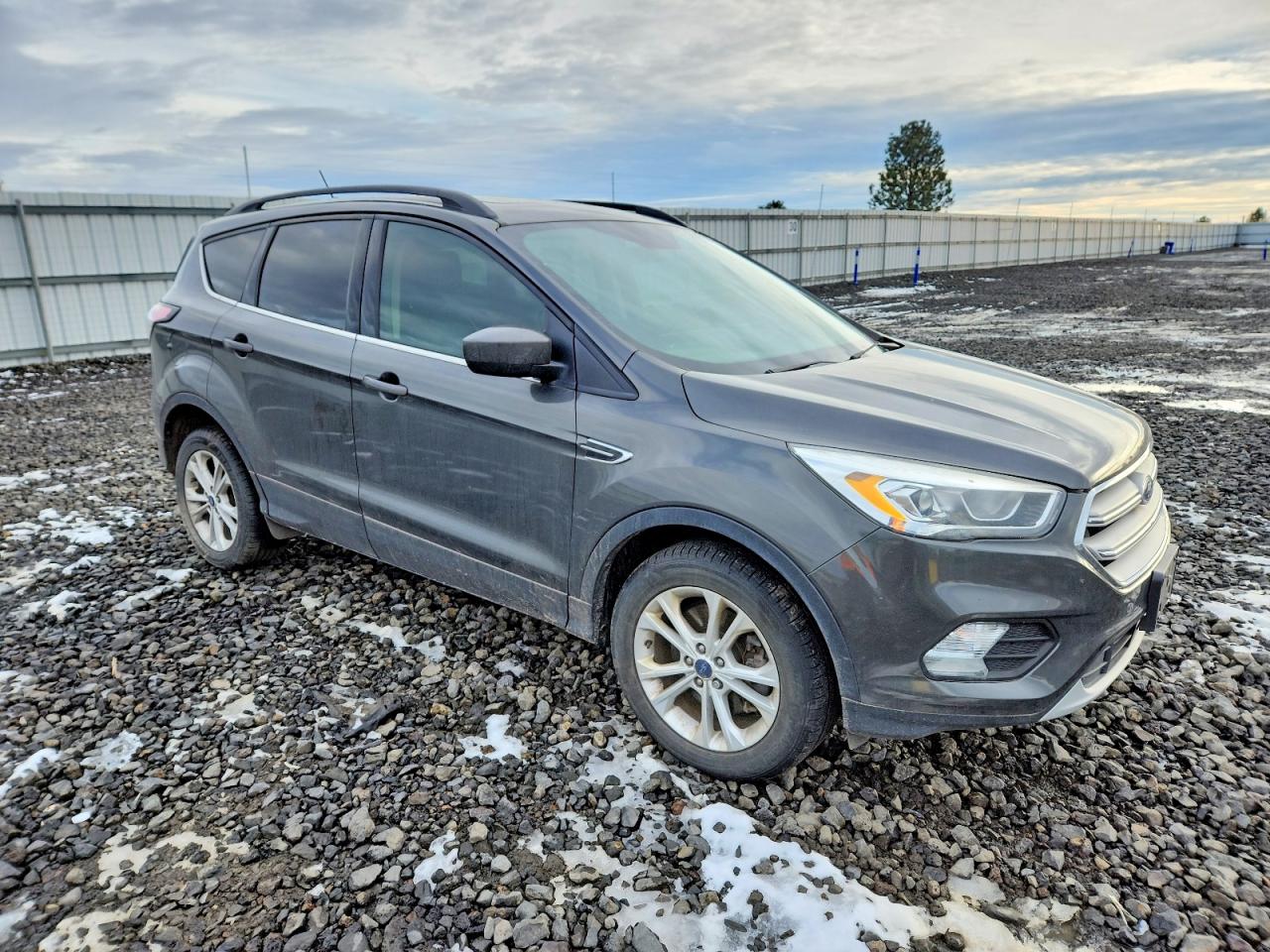 2018 FORD ESCAPE SEL photo 4