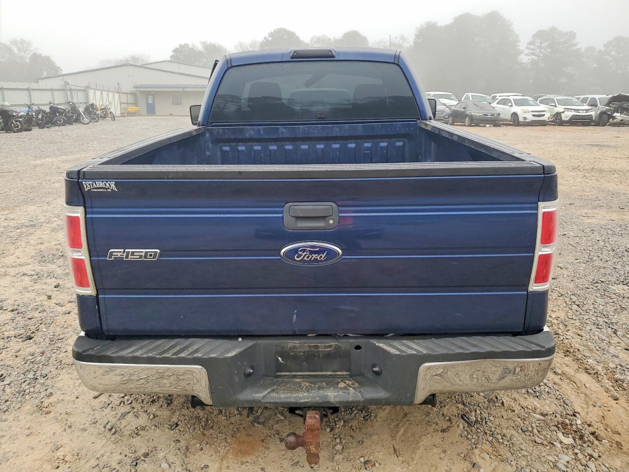 2009 FORD F150 photo 6