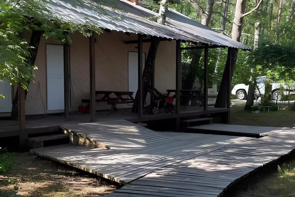 Уйти в лес, Kaliningrad