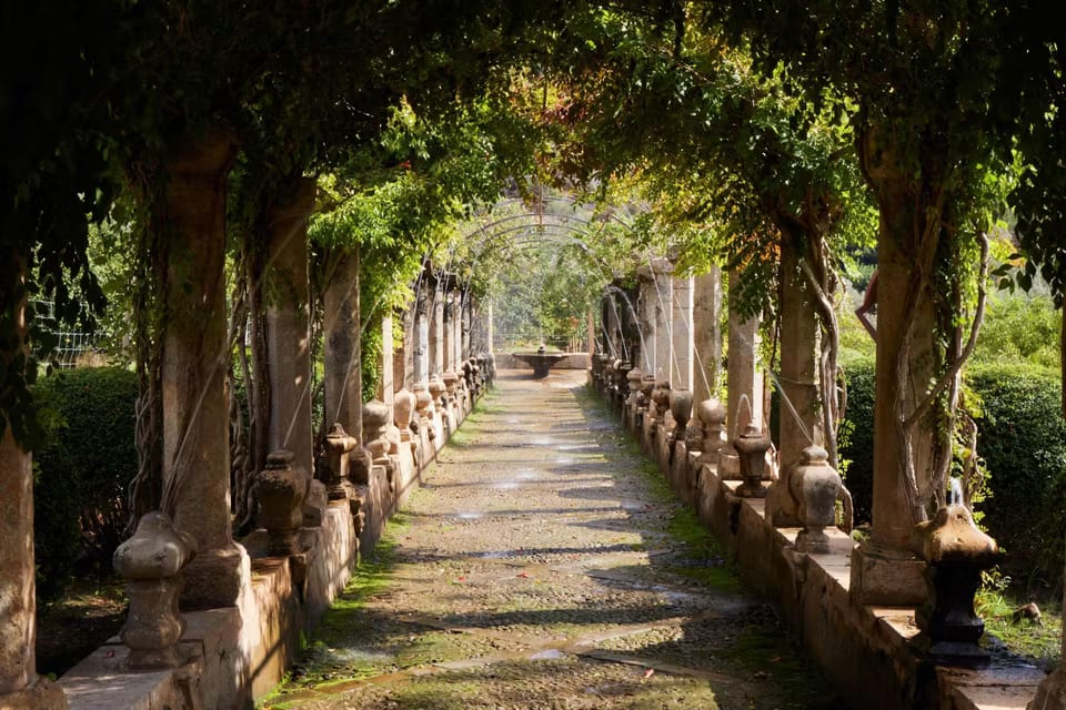 Сады Альфабия, Palma Mallorca