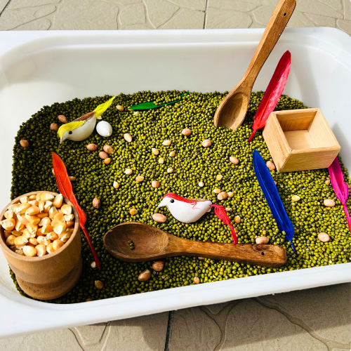 Bird Seeds Sensory Bin Activity