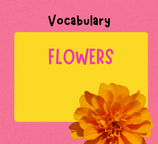 Flowers Vocabulary