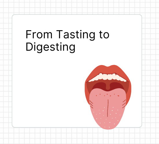 From Tasting to Digesting