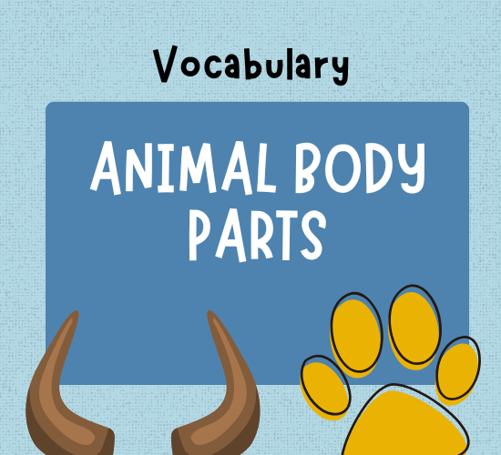 Learn Animal Body Words Fast