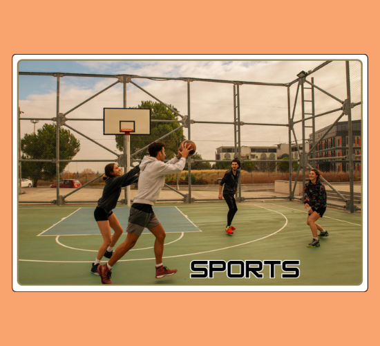 Sports Display Posters