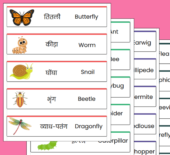 Educational Minibeast Word Cards(Hindi)