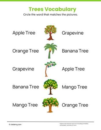 Trees Vocabulary