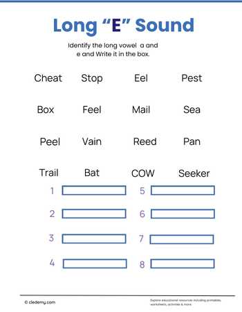 worksheet