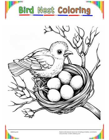 Bird Nest Coloring