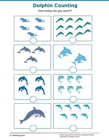Dolphin Counting