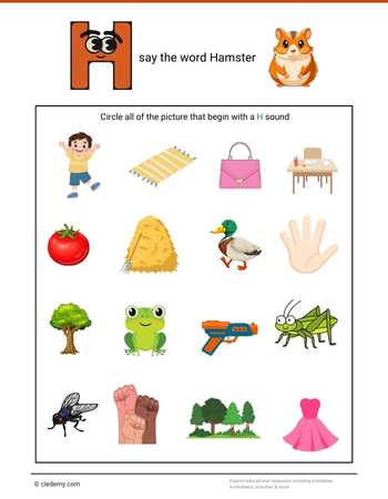 Circle the Picture - Hamster