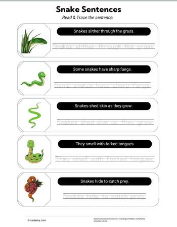 Tracing Sentence - Snake