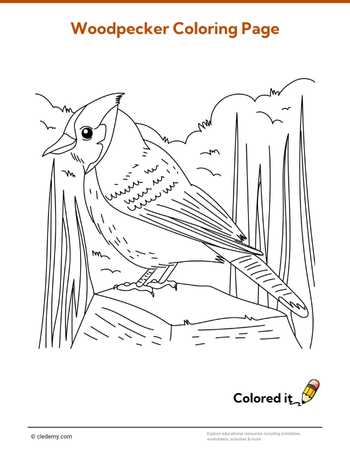 Woodpecker - Coloring Page
