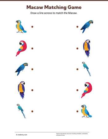 Macaw Matching Game