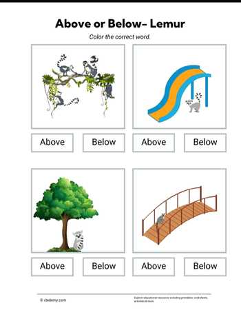 Above or Below- Lemur