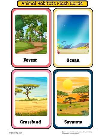 Animal Habitats Flash Cards