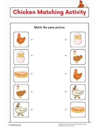Chicken Matching Activity