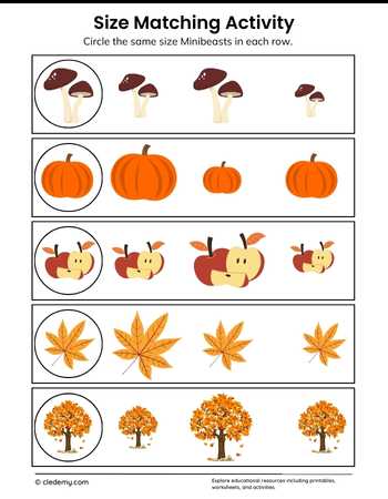 Autumn Size Matching