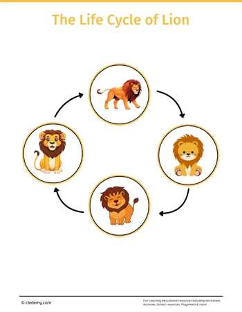 The Life Cycle of a Lion: Learn and Write