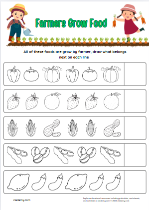 worksheet