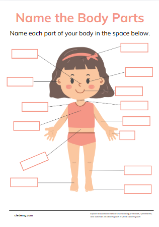 worksheet