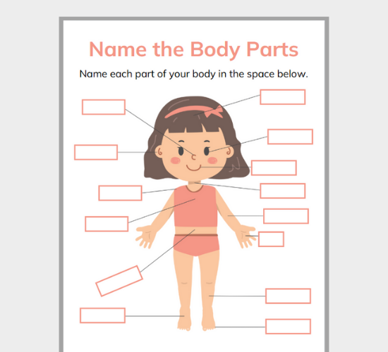 worksheet