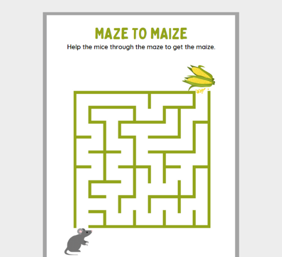 Mouse Maize Maze