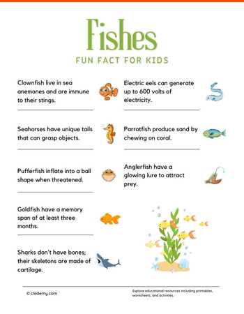 Surprising Fun Facts About Fishes