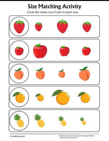 Fruits Size Matching