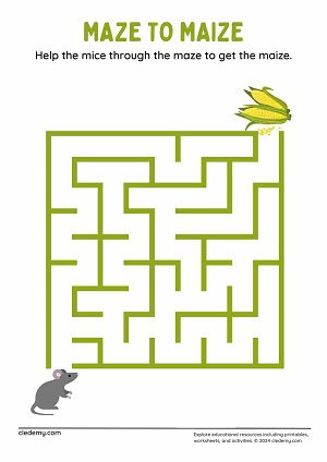Mouse Maize Maze