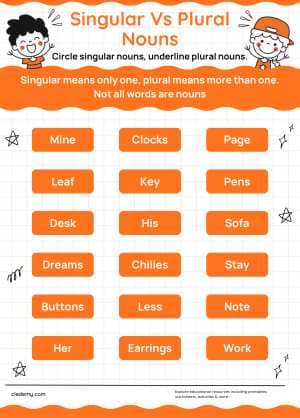 Singular vs Plural Nouns