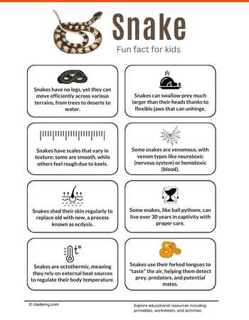 Fun Facts About Snakes