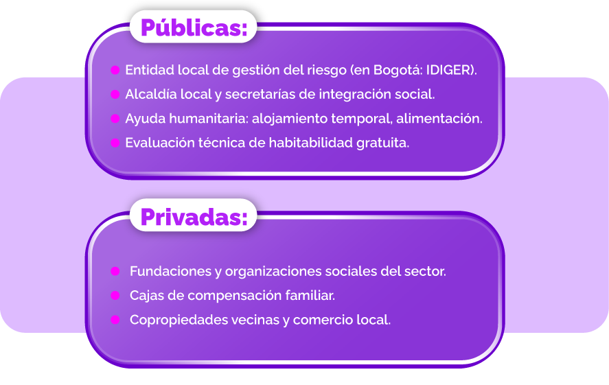 Paso 3