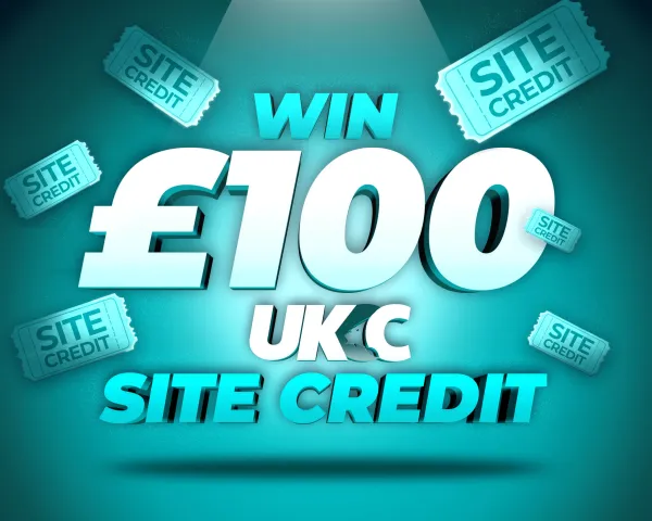 £100 SITE CREDIT!