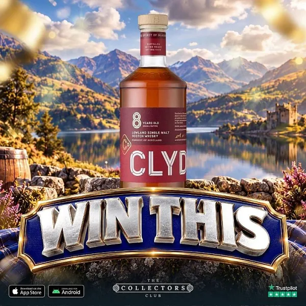 WIN THIS BRAND NEW CLYDESIDE 8 YEAR OLD!