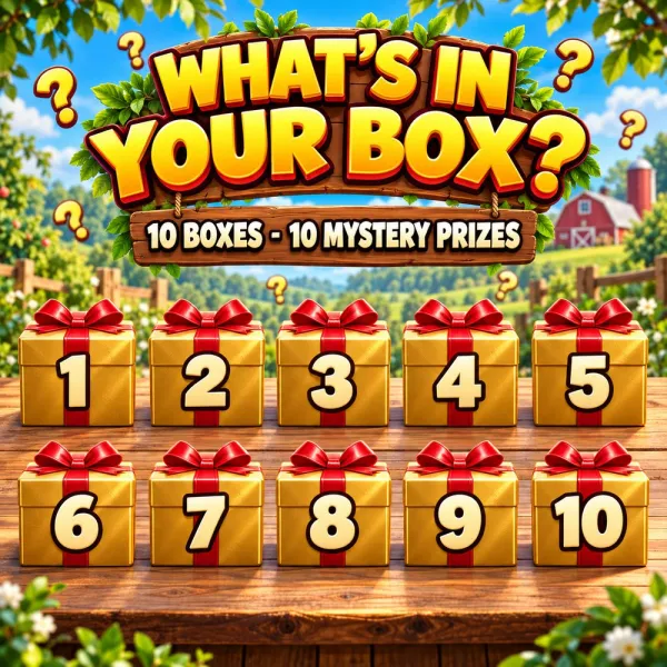 WHAT’S IN YOUR BOX? 🎁 MYSTERY WINS!
