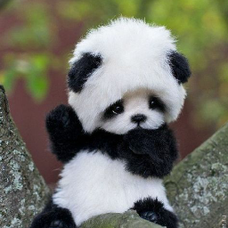 SweTeddy