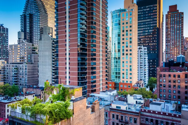 Restored New York search visibility delivered in New York, NY