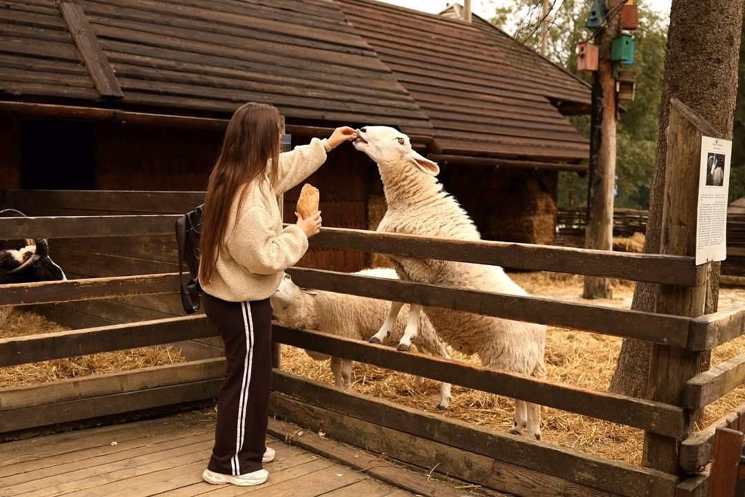 Тури на осінні канікули