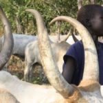 6 killed in Aweil East cattle raid
