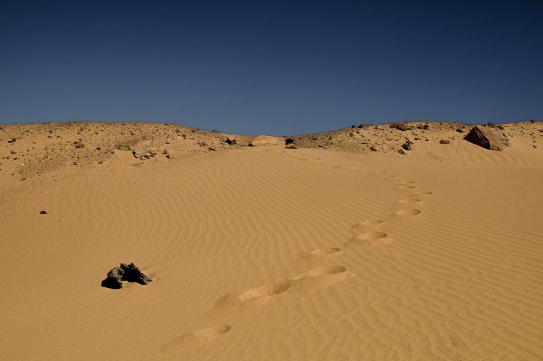 Bahariya Oasis Incident