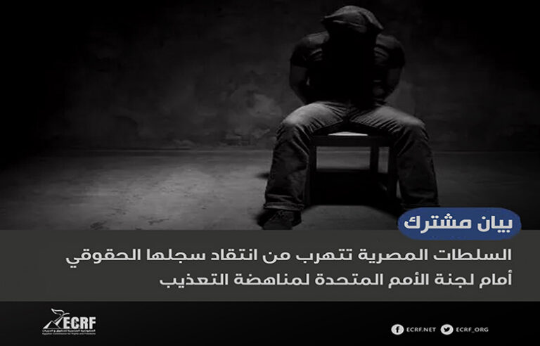 السلطات المصرية تتهرب من انتقاد سجلها الحقوقي أمام لجنة الأمم المتحدة لمناهضة التعذيب