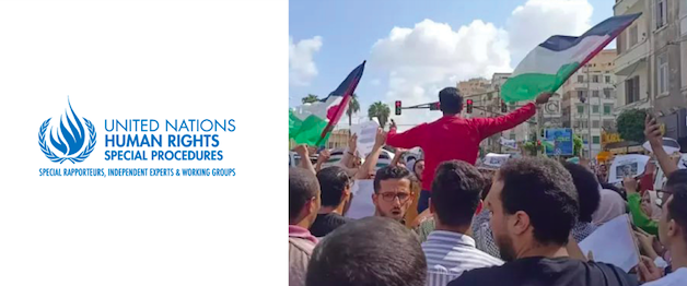 Based on complaints submitted by EFHR: UN Special Rapporteurs on counter-terrorism, freedom of opinion and expression, freedom of peaceful assembly and association, the situation of human rights in the Palestinian territory, and the Working Groups on Arbitrary Detention and Enforced Disappearances c