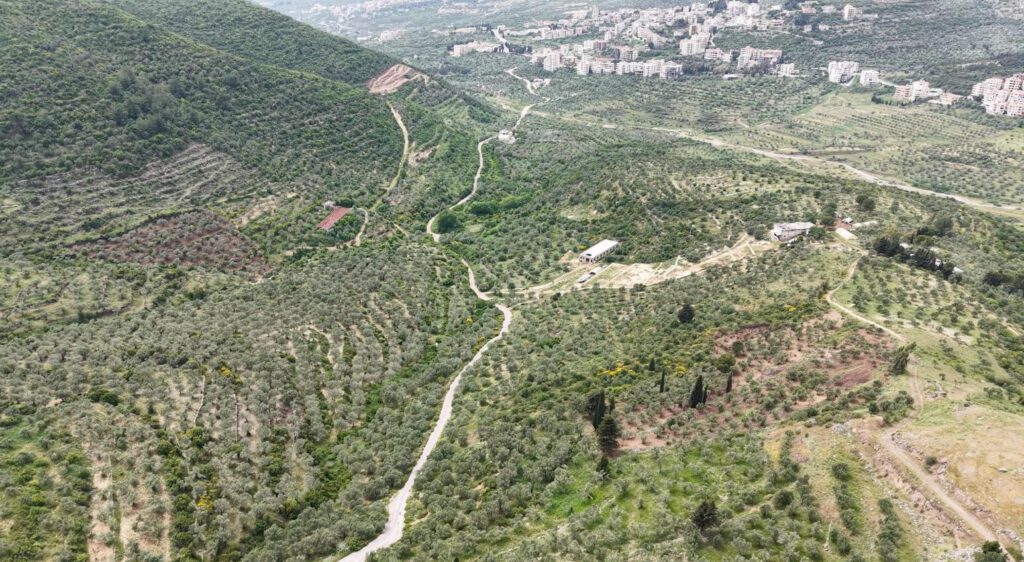 الخروج الأخير... "لغز" اختفاء نساء وأطفال من بلدة الحصن في سوريا بعد حصار مميت