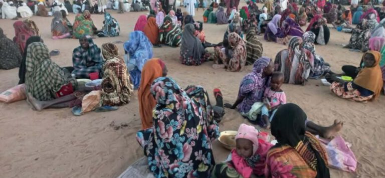 About 4 Million Sudanese Return Amid Displacement and Humanitarian Crisis