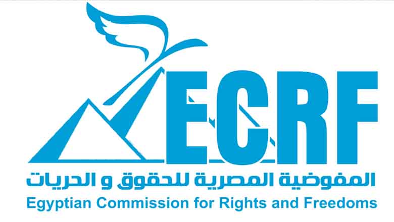 بيانات المفوضية المصرية خلال شهر يونيو 2026