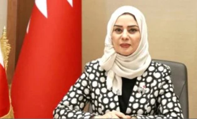 FM Abdelatty affirms Egypt's rejection of Israel's illegal easures in Occupied Territories