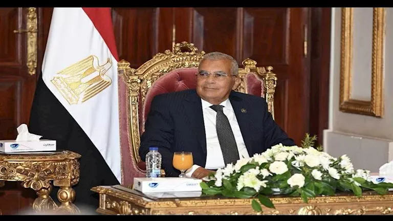 رئيس الشيوخ: الدبلوماسية المصرية خط الدفاع الأول عن مصالح الوطن