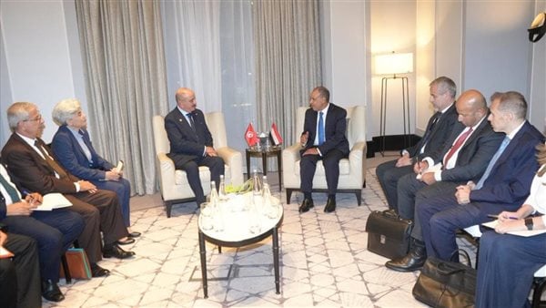 وزير الخارجية يلتقي نظيره التونسي على هامش الاجتماع الوزاري حول القدس